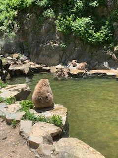 猿温泉